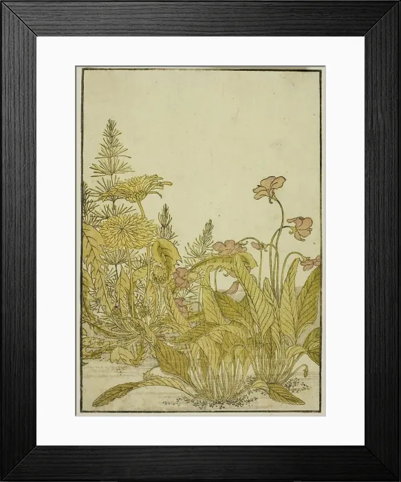 Framed Print : Spring Flowers: Violets and Dandelions, from the book Mirror of Beautiful Women of the... 1776. Creator: Shunsho. Spring Flowers: Violets and Dandelions, from the book Mirror of Beautiful Women of the... 1776. Creator: Shunsho Framed Print : Spring Flowers: Violets and Dandelions, from the book Mirror of Beautiful Women of the... 1776. Creator: Shunsho. Spring Flowers: Violets and Dandelions, from the book Mirror of Beautiful Women of the... 1776. Creator: Shunsho