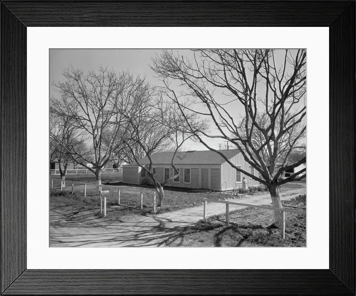 Framed Print : El Monte federal subsistence Homesteads, California, 1936. Creator: Dorothea Lange Framed Print : El Monte federal subsistence Homesteads, California, 1936. Creator: Dorothea Lange