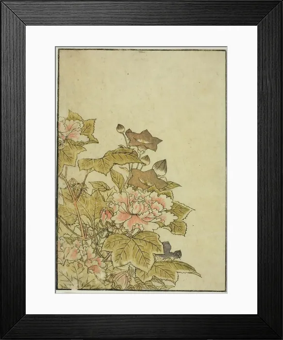 Framed Print : Autumn Flowers: Peonies and Bellflowers, from the book Mirror of Beautiful Women of the... 1776. Creator: Shunsho. Autumn Flowers: Peonies and Bellflowers, from the book Mirror of Beautiful Women of the... 1776. Creator: Shunsho Framed Print : Autumn Flowers: Peonies and Bellflowers, from the book Mirror of Beautiful Women of the... 1776. Creator: Shunsho. Autumn Flowers: Peonies and Bellflowers, from the book Mirror of Beautiful Women of the... 1776. Creator: Shunsho