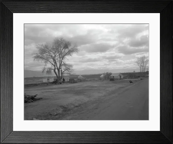 Framed Print : Part of a roadside ranch camp, twelve tents in this group, California, 1936. Creator: Dorothea Lange Framed Print : Part of a roadside ranch camp, twelve tents in this group, California, 1936. Creator: Dorothea Lange