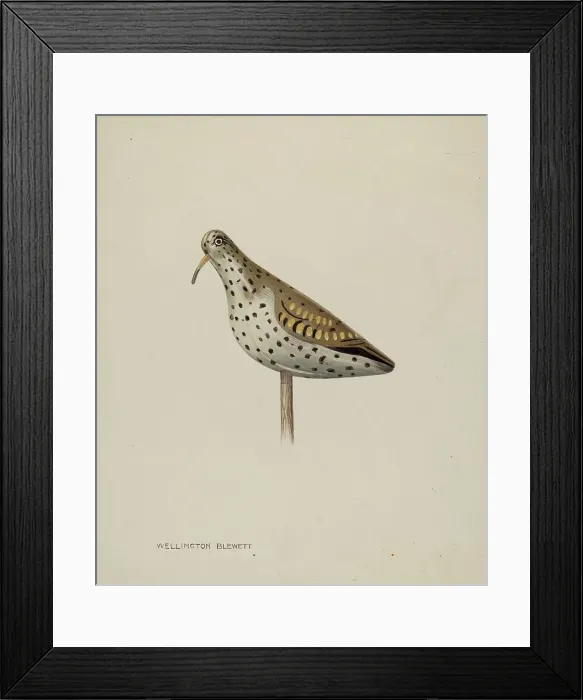 Framed Print : Decoy, c. 1939. Creator: Wellington Blewett Framed Print : Decoy, c. 1939. Creator: Wellington Blewett