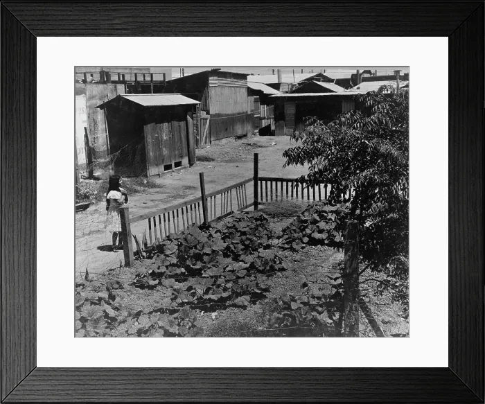 Framed Print : Mexican field laborers houses, Brawley, Imperial Valley, California, 1935. Creator: Dorothea Lange Framed Print : Mexican field laborers houses, Brawley, Imperial Valley, California, 1935. Creator: Dorothea Lange