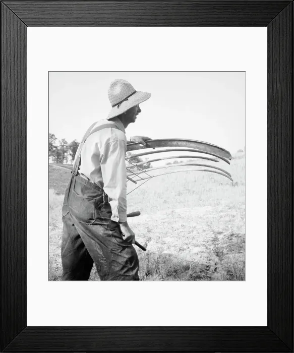 Framed Print : Cradling wheat near Christianburg, Virginia, 1936. Creator: Dorothea Lange Framed Print : Cradling wheat near Christianburg, Virginia, 1936. Creator: Dorothea Lange