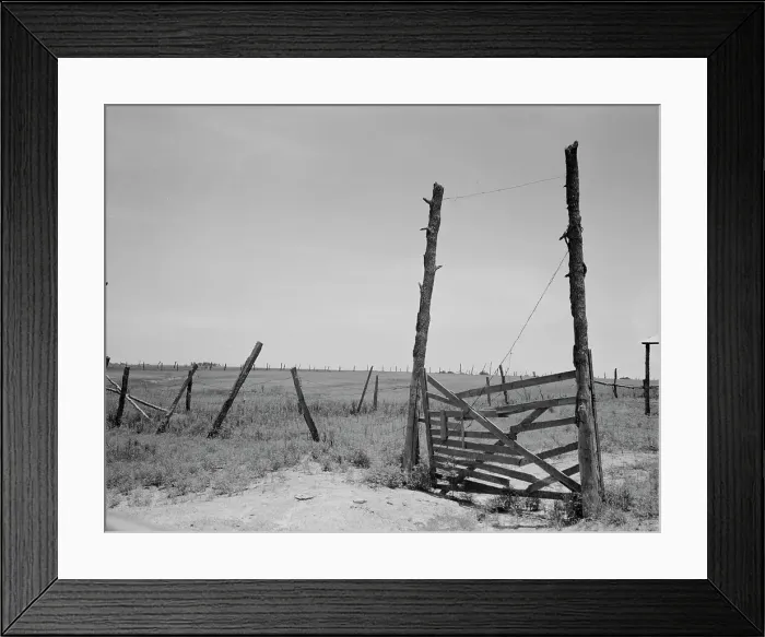 Framed Print : Abandoned land, exhausted soil, Carter County, Oklahoma, 1937. Creator: Dorothea Lange Framed Print : Abandoned land, exhausted soil, Carter County, Oklahoma, 1937. Creator: Dorothea Lange
