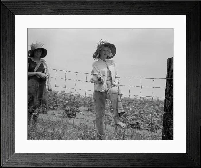 Framed Print : The landowner's daughter hoes cotton on a south Georgia farm, 1937. Creator: Dorothea Lange Framed Print : The landowner's daughter hoes cotton on a south Georgia farm, 1937. Creator: Dorothea Lange