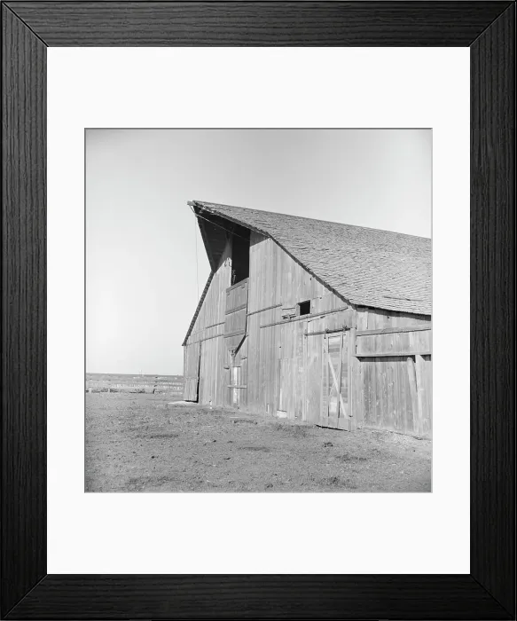 Framed Print : Barn of FSA tenant purchase client, near Manteca, California, 1938. Creator: Dorothea Lange Framed Print : Barn of FSA tenant purchase client, near Manteca, California, 1938. Creator: Dorothea Lange