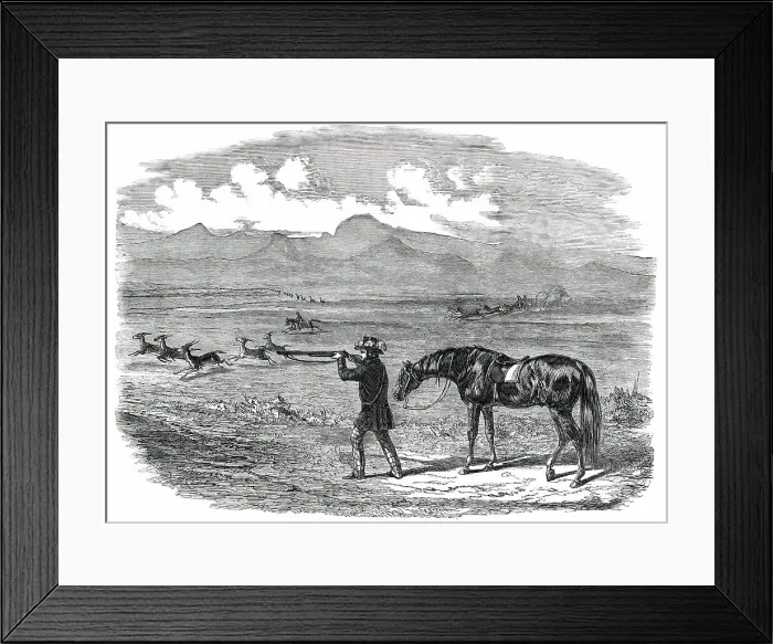 Framed Print : Springbok Hunting in South Africa, 1850. Creator: Unknown Framed Print : Springbok Hunting in South Africa, 1850. Creator: Unknown