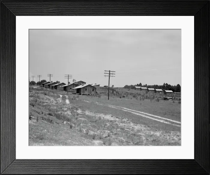 Framed Print : Turpentine camp, Godwinsville, Georgia, 1937. Creator: Dorothea Lange Framed Print : Turpentine camp, Godwinsville, Georgia, 1937. Creator: Dorothea Lange