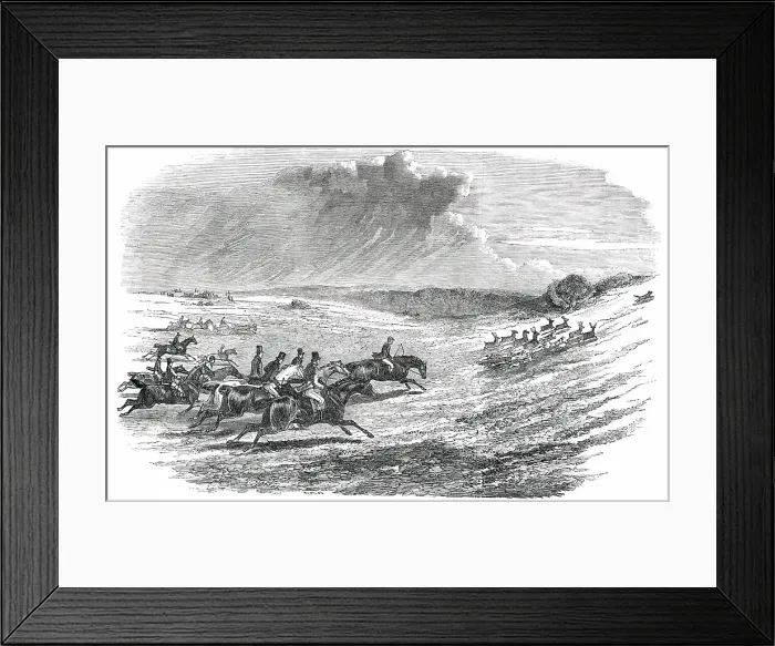 Framed Print : Chase of a Jackal, in the New Forest, 1850. Creator: Unknown Framed Print : Chase of a Jackal, in the New Forest, 1850. Creator: Unknown