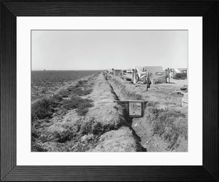 Framed Print : Refugees camped by the roadside beside an irrigated pea field, nine miles from Calipatria, CA, 1937. Creator: Dorothea Lange Framed Print : Refugees camped by the roadside beside an irrigated pea field, nine miles from Calipatria, CA, 1937. Creator: Dorothea Lange