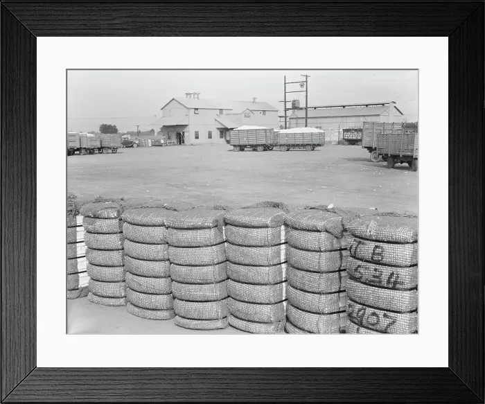 Framed Print : Kaweah Delta Cooperative cotton gin and yard, Tulare County, CA, 1938. Creator: Dorothea Lange Framed Print : Kaweah Delta Cooperative cotton gin and yard, Tulare County, CA, 1938. Creator: Dorothea Lange