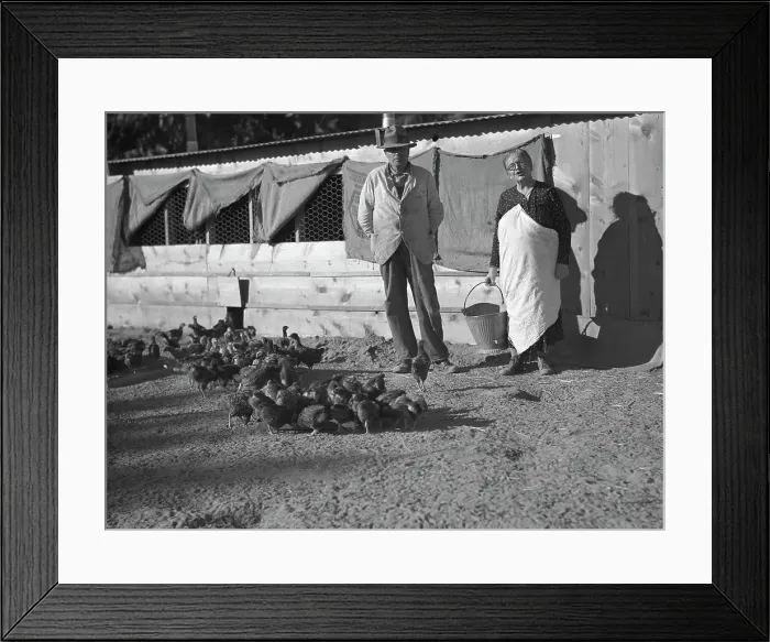 Framed Print : Rehabilitation clients, five miles outside Phoenix, Arizona, 1935. Creator: Dorothea Lange Framed Print : Rehabilitation clients, five miles outside Phoenix, Arizona, 1935. Creator: Dorothea Lange