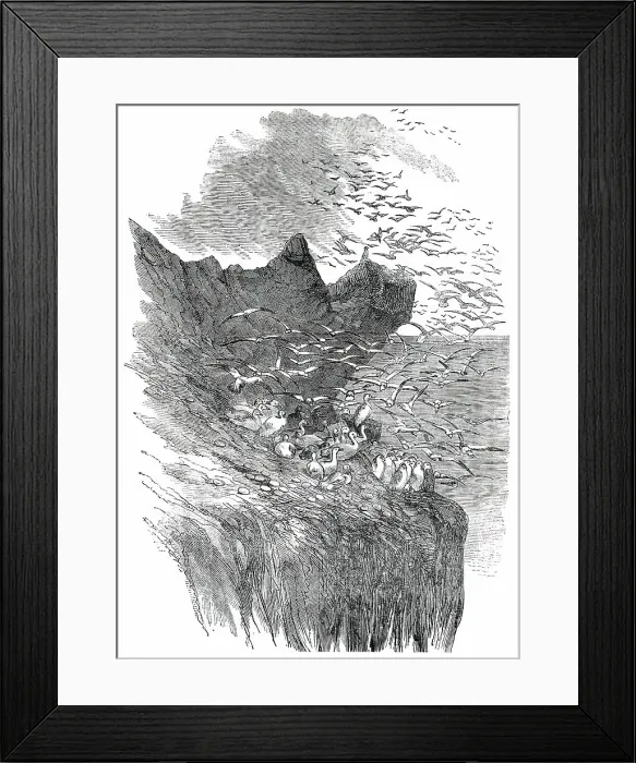 Framed Print : The Bass Rock, 1850. Creator: Unknown Framed Print : The Bass Rock, 1850. Creator: Unknown