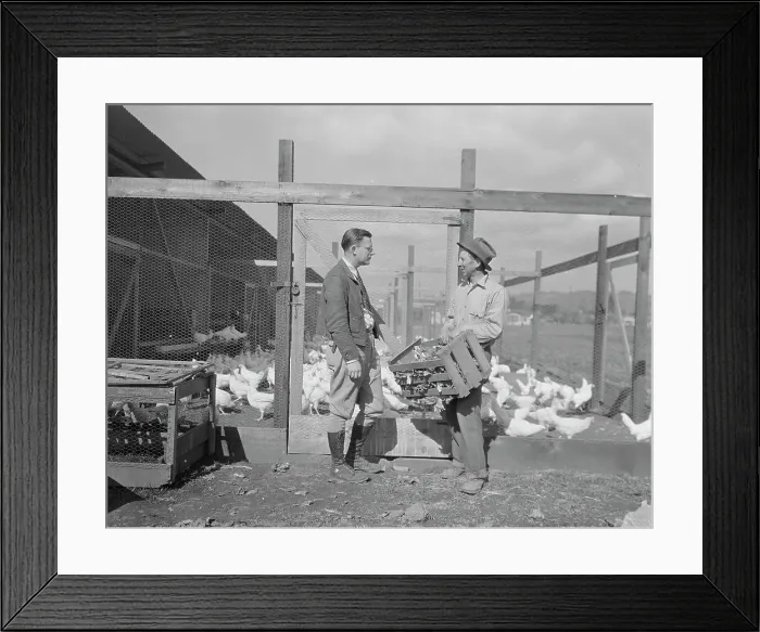 Framed Print : Rural Rehabilitation Administration client with the Rehabilitation Administration... CA, 1936. Creator: Dorothea Lange Framed Print : Rural Rehabilitation Administration client with the Rehabilitation Administration... CA, 1936. Creator: Dorothea Lange