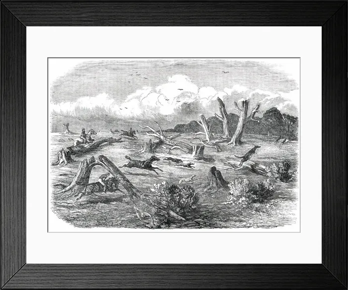 Framed Print : Full Cry, 1850. Creator: Unknown Framed Print : Full Cry, 1850. Creator: Unknown
