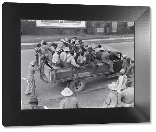 Cotton hoers are transported to the fields daily during the season, Memphis, Tennessee, 1937. Creator: Dorothea Lange