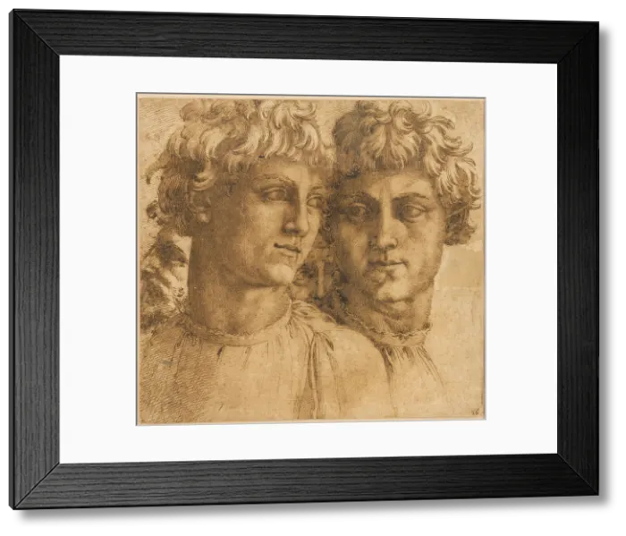 Framed Print : Two Studies of the Head of a Youth, c.1550. Creator: Baccio Bandinelli Framed Print : Two Studies of the Head of a Youth, c.1550. Creator: Baccio Bandinelli