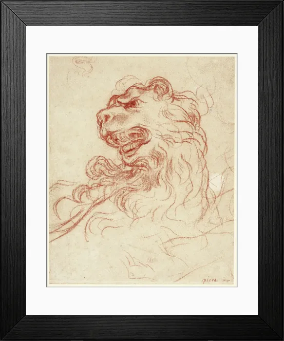 Framed Print : Study of the Head of a Lion, n.d. Creator: Baldassare Franceschini Framed Print : Study of the Head of a Lion, n.d. Creator: Baldassare Franceschini