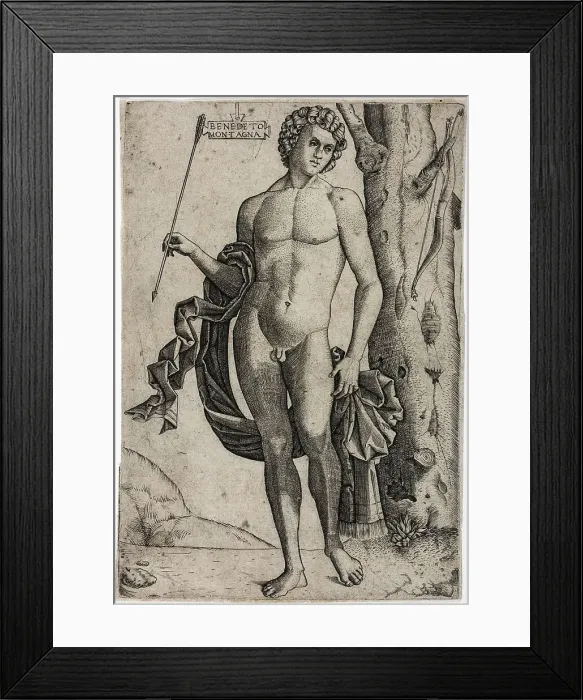 Framed Print : A Young Man with an Arrow, c.1510. Creator: Benedetto Montagna Framed Print : A Young Man with an Arrow, c.1510. Creator: Benedetto Montagna