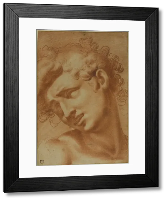 Framed Print : Head of a Youth, 1595 / 1605. Creator: Cristofano Roncalli Framed Print : Head of a Youth, 1595 / 1605. Creator: Cristofano Roncalli