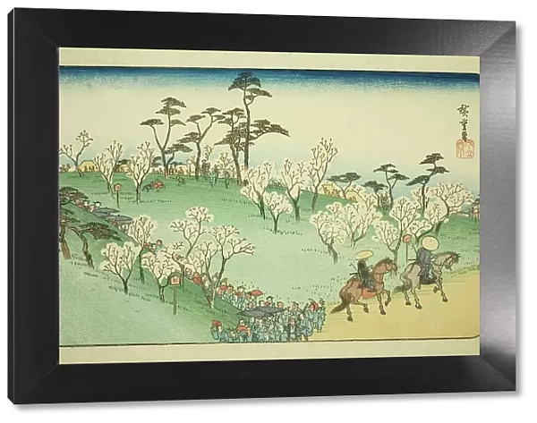 Viewing Cherry Blossoms at Asuka Hill (Asukayama hanami), from the series 'Famous... c. 1832 / 34. Creator: Ando Hiroshige. Viewing Cherry Blossoms at Asuka Hill (Asukayama hanami), from the series 'Famous... c. 1832 / 34. Creator: Ando Hiroshige