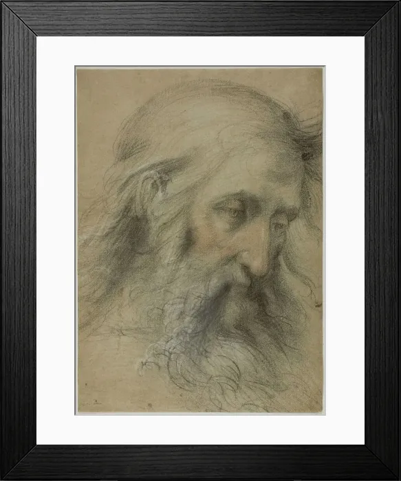 Framed Print : Head of Saint John the Evangelist: Study for the Disputation on the Immaculate... 1531 / 36. Creator: Giovanni Antonio Sogliani Framed Print : Head of Saint John the Evangelist: Study for the Disputation on the Immaculate... 1531 / 36. Creator: Giovanni Antonio Sogliani