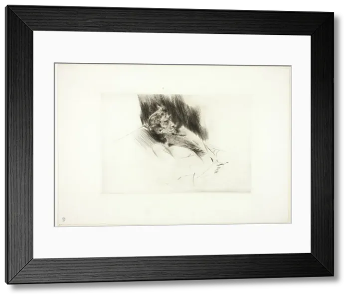 Framed Print : Whistler Asleep, 1897. Creator: Giovanni Boldini Framed Print : Whistler Asleep, 1897. Creator: Giovanni Boldini