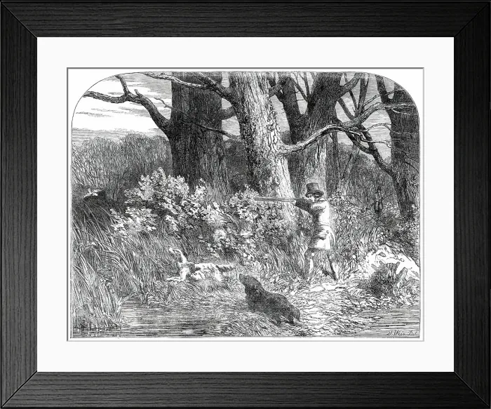 Framed Print : Woodcock Shooting, 1850. Creator: Unknown Framed Print : Woodcock Shooting, 1850. Creator: Unknown