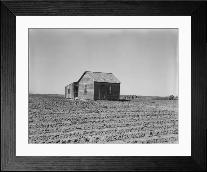 Framed Print : Cultivated fields and abandoned tenant house, Hall County, Texas, 1937. Creator: Dorothea Lange Framed Print : Cultivated fields and abandoned tenant house, Hall County, Texas, 1937. Creator: Dorothea Lange