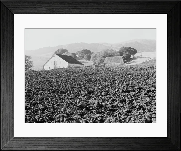 Framed Print : Stock ranch and plowed field, Contra Costa County, California, 1938. Creator: Dorothea Lange Framed Print : Stock ranch and plowed field, Contra Costa County, California, 1938. Creator: Dorothea Lange