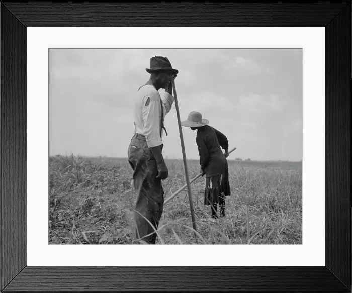Framed Print : Cotton sharecroppers, Greene County, Georgia, 1937. Creator: Dorothea Lange