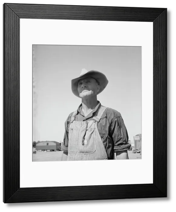 Framed Print : Nebraska farmer come to pick peas, near Calipatria, California, 1939. Creator: Dorothea Lange Framed Print : Nebraska farmer come to pick peas, near Calipatria, California, 1939. Creator: Dorothea Lange