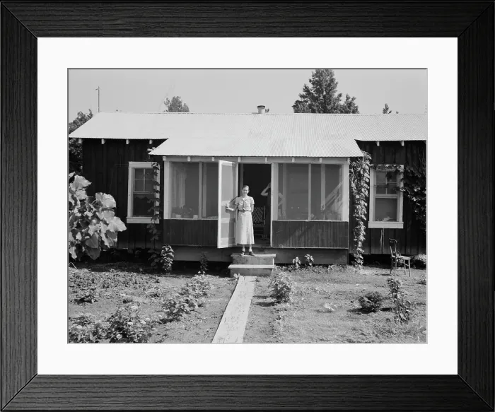 Framed Print : One of Delta cooperative farmsteads after a year of operation, Hillhouse, Mississippi, 1937. Creator: Dorothea Lange Framed Print : One of Delta cooperative farmsteads after a year of operation, Hillhouse, Mississippi, 1937. Creator: Dorothea Lange