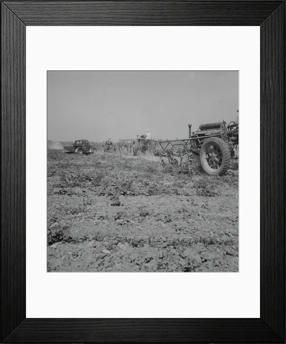 Framed Print : Aldridge Plantation, Mississippi, 1937. Creator: Dorothea Lange Framed Print : Aldridge Plantation, Mississippi, 1937. Creator: Dorothea Lange