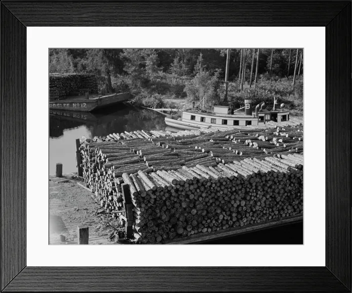 Framed Print : Pulp wood going down the River Styx to Mobile by inland waterway near Robertsdale, Alabama, 1937. Creator: Dorothea Lange Framed Print : Pulp wood going down the River Styx to Mobile by inland waterway near Robertsdale, Alabama, 1937. Creator: Dorothea Lange