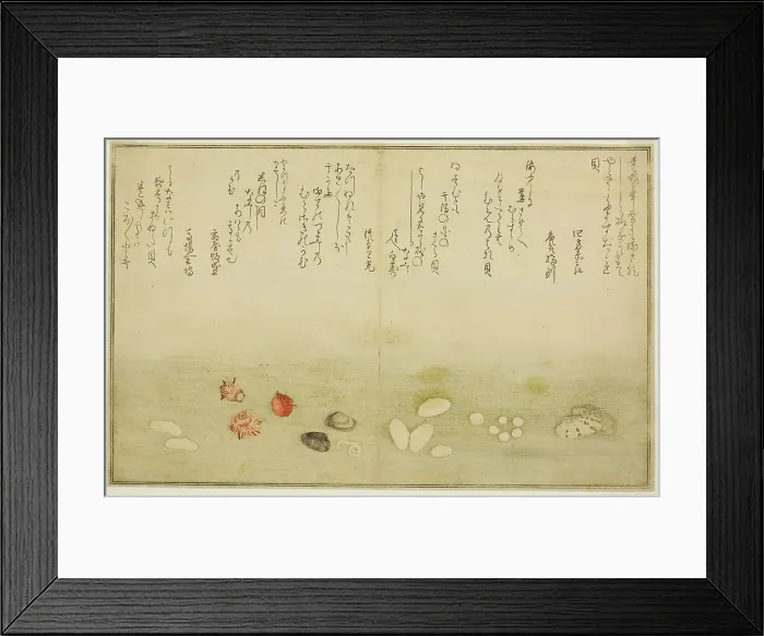 Framed Print : Sudare-gai, hana-gai, sakura-gai, mumeno-gai, nadeshiko-gai, and kinuta-gai, from the illu... 1789. Creator: Kitagawa Utamaro Framed Print : Sudare-gai, hana-gai, sakura-gai, mumeno-gai, nadeshiko-gai, and kinuta-gai, from the illu... 1789. Creator: Kitagawa Utamaro
