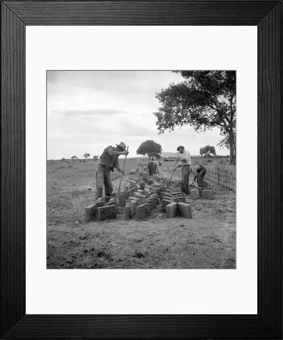 Framed Print : Making adobe bricks, Bosque Farms project, New Mexico, 1935. Creator: Dorothea Lange Framed Print : Making adobe bricks, Bosque Farms project, New Mexico, 1935. Creator: Dorothea Lange