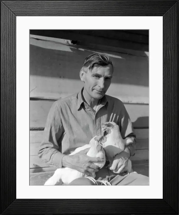 Framed Print : Rural rehabilitation client, San Fernando Valley, California, 1936. Creator: Dorothea Lange Framed Print : Rural rehabilitation client, San Fernando Valley, California, 1936. Creator: Dorothea Lange
