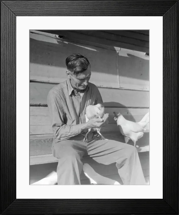 Framed Print : Rural rehabilitation client, San Fernando Valley, California, 1936. Creator: Dorothea Lange Framed Print : Rural rehabilitation client, San Fernando Valley, California, 1936. Creator: Dorothea Lange
