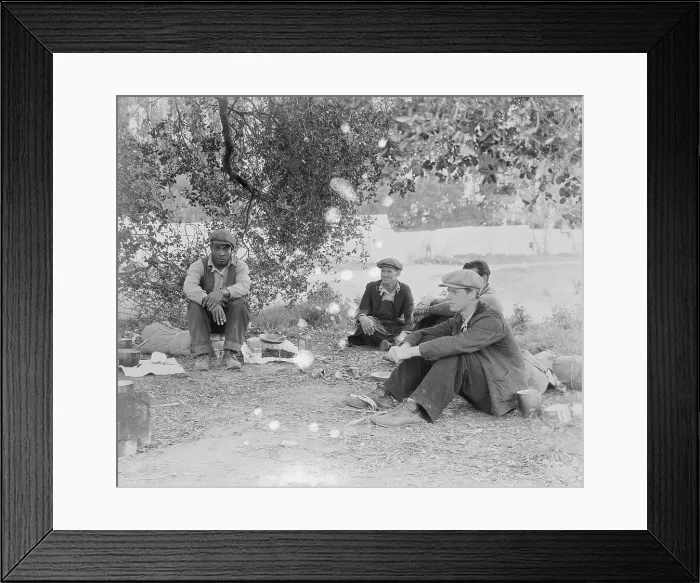 Framed Print : Camp of single men by the roadside...come in to work in the pea fields, Nipomo, California, 1935. Creator: Dorothea Lange Framed Print : Camp of single men by the roadside...come in to work in the pea fields, Nipomo, California, 1935. Creator: Dorothea Lange