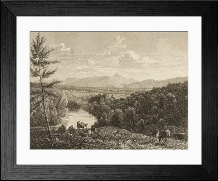Framed Print : Catskill Mountains, n.d. Creator: Asher Brown Durand Framed Print : Catskill Mountains, n.d. Creator: Asher Brown Durand