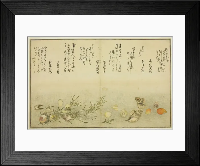 Framed Print : Beni-gai, hora-gai, urauzu-gai, wasure-gai, chiyonohana-gai, and masuho-gai, from... Japan, 1789. Creator: Kitagawa Utamaro Framed Print : Beni-gai, hora-gai, urauzu-gai, wasure-gai, chiyonohana-gai, and masuho-gai, from... Japan, 1789. Creator: Kitagawa Utamaro
