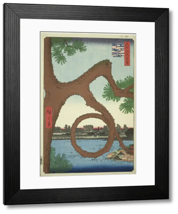 Framed Print : The Moon Pine on the Temple Grounds at Ueno (Ueno sannai Tsuki no matsu), from the series... 1857. Creator: Ando Hiroshige Framed Print : The Moon Pine on the Temple Grounds at Ueno (Ueno sannai Tsuki no matsu), from the series... 1857. Creator: Ando Hiroshige