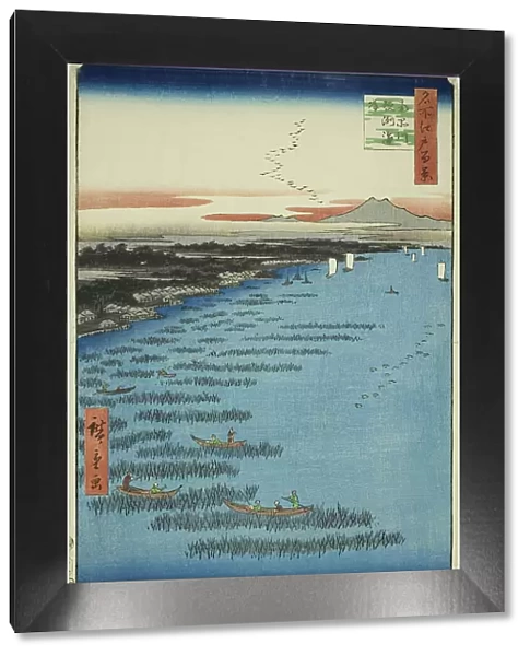 Samezu Coast in South Shinagawa (Minami-Shinagawa Samezu kaigan), from the series... 1857. Creator: Ando Hiroshige