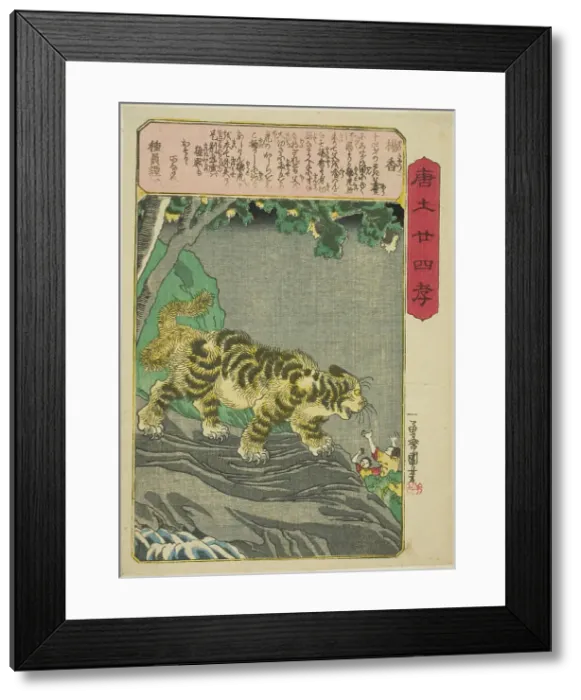 Framed Print : Yang Xiang (Yo Kyo), from the series Twenty-four Paragons of Filial Piety in China... c. 1848 / 50. Creator: Utagawa Kuniyoshi. Yang Xiang (Yo Kyo), from the series Twenty-four Paragons of Filial Piety in China... c. 1848 / 50 Framed Print : Yang Xiang (Yo Kyo), from the series Twenty-four Paragons of Filial Piety in China... c. 1848 / 50. Creator: Utagawa Kuniyoshi. Yang Xiang (Yo Kyo), from the series Twenty-four Paragons of Filial Piety in China... c. 1848 / 50