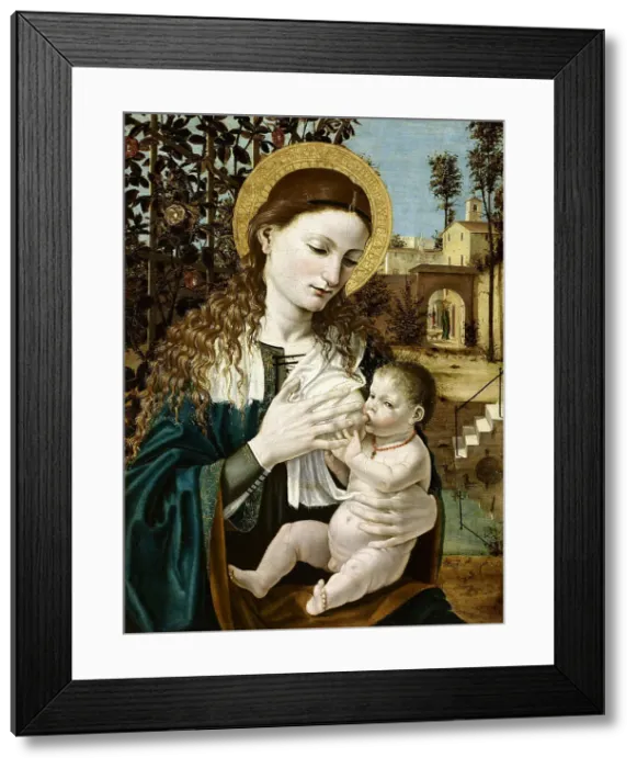 Framed Print : Madonna del latte, c. 1490. Creator: Bergognone, Ambrogio (1453-1523) Framed Print : Madonna del latte, c. 1490. Creator: Bergognone, Ambrogio (1453-1523)