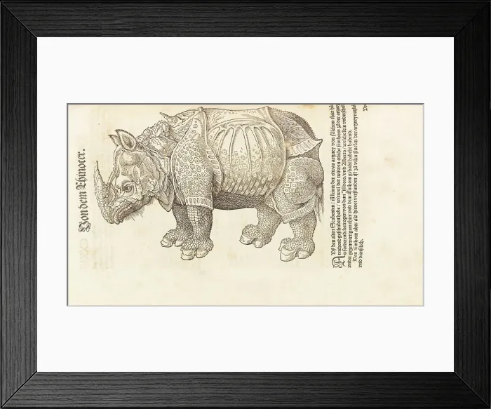 Framed Print : Rhinoceros. From Historia animalium, 1551-1558. Creator: Gesner (Gessner), Conrad (Konrad) (1516-1565) Framed Print : Rhinoceros. From Historia animalium, 1551-1558. Creator: Gesner (Gessner), Conrad (Konrad) (1516-1565)
