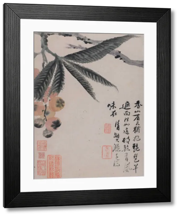 Framed Print : Vegetables and Fruits, End of 17th-Early 18th cen. Creator: Shitao (Zhu Ruoji) (1642-1707) Framed Print : Vegetables and Fruits, End of 17th-Early 18th cen. Creator: Shitao (Zhu Ruoji) (1642-1707)