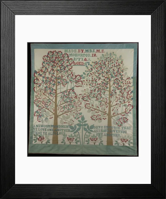 Framed Print : Bedcover, United States, 1877 / 78. Creator: M. E. Mohortor