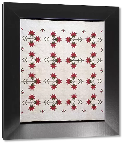 Bedcover (North Carolina Lily Quilt), United States, c.1850. Creator: Unknown